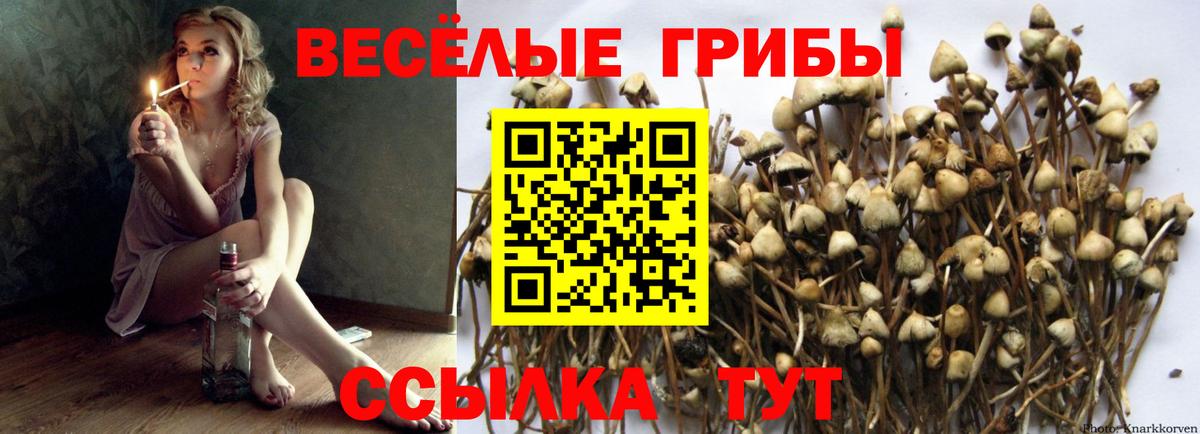 Псилоцибиновые грибы прущие грибы Выкса