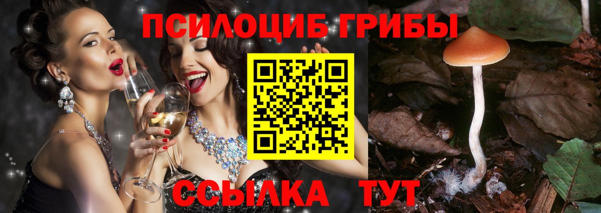 Выкса  Псилоцибиновые грибы Psilocybine cubensis  Галлюциногенные грибы мухоморы  Вход с VPN 